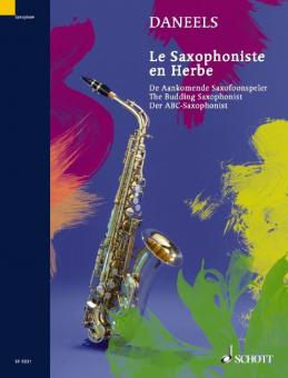 The Budding Saxophonist Standard