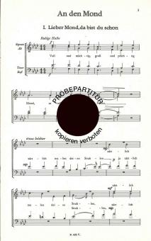 An den Mond 