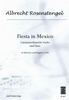 Fiesta in Mexico 