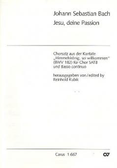 Jesu, deine Passion BWV 182 