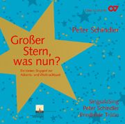 Großer Stern, was nun? 