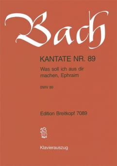 Was soll ich aus dir machen, Ephraim 