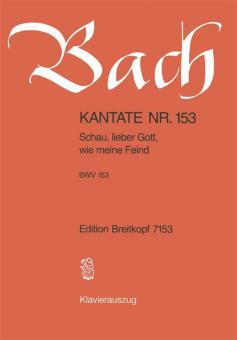 Schau, lieber Gott, wie meine Feind 