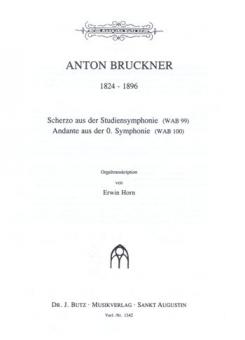 Andante From Symphony No. 0 / Scherzo From The Study Symphony 