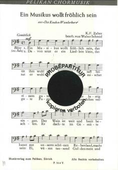 Musikus wollt fröhlich 
