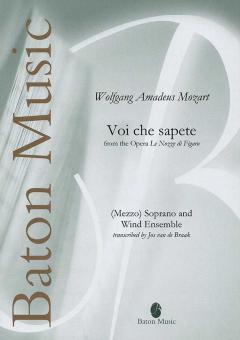 Voi che sapete from The Opera le Nozze di Figaro Standard