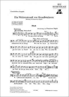 Walzerstrauss 