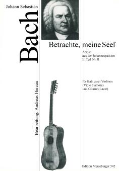 Betrachte, meine Seel' 