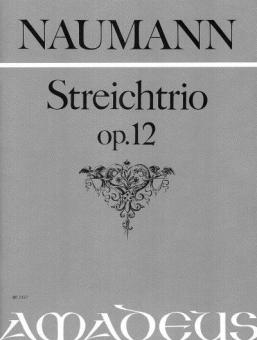 Trio in D major op. 12 