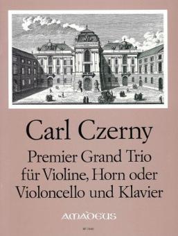 Premier Grand Trio op. 105 