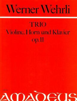 Trio op. 11 in d minor 