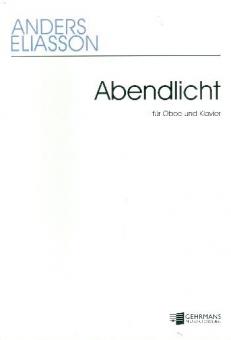 Abendlicht 
