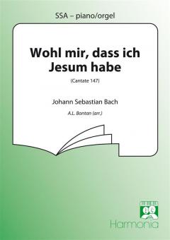 Wohl mir dass ich Jesum habe 