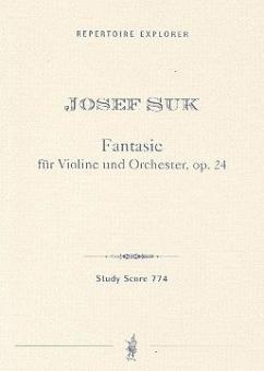 Fantasie op. 24 für Violine und Orchester 