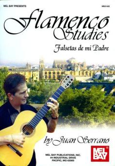 Flamenco Studies 