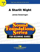 A Starlit Night 