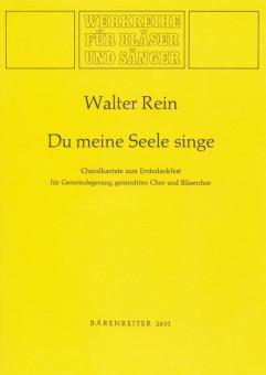 Du meine Seele, singe 