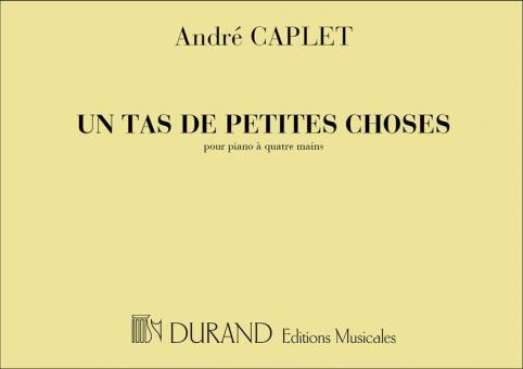 Tas De Petites Choses 