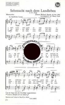 Sehnsucht nach dem 