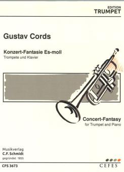 Konzert-Fantasie es-Moll 