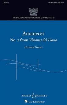 Visiones del Llano No. 2: Amanecer 