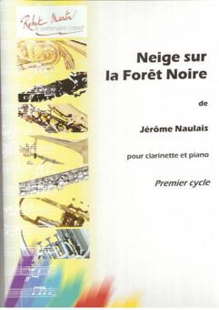Neige sur la Forêt Noire 