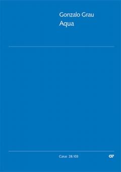 Aqua (Wasser) Standard