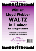 Waltz in E Minor 