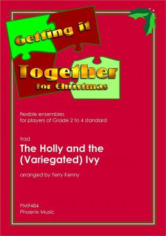The Holly & The (variegated) Ivy Standard