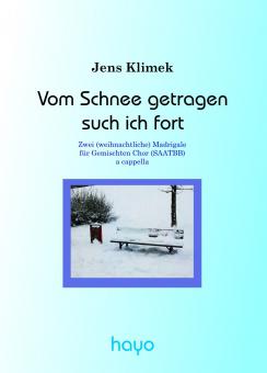 Vom Schnee getragen such ich fort 
