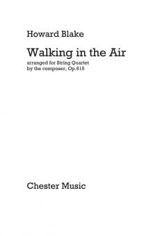 Walking in the Air 