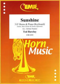Sunshine Standard