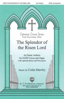 The Splendor Of The Risen Lord 