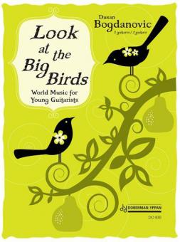 Look At The Big Birds! 