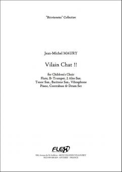 Vilain Chat! 