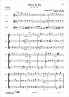 Hymn to Joy 