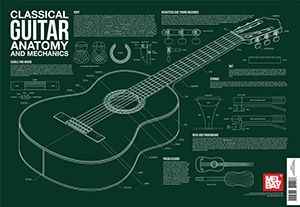 Classical Guitar Anatomy And Mechanics Wall Chart 