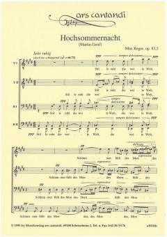 Hochsommernacht 