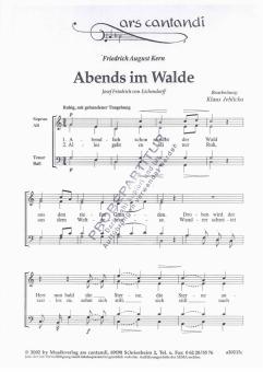 Abends im Walde 