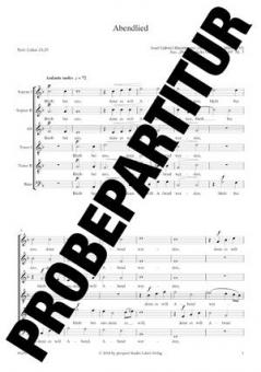 Abendlied Nr. 3 Download