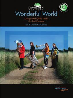Wonderful World 