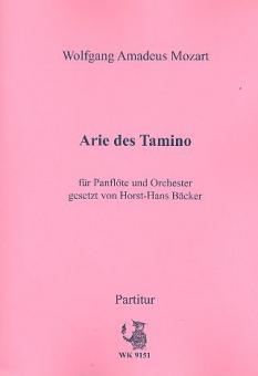 Arie des Tamino 
