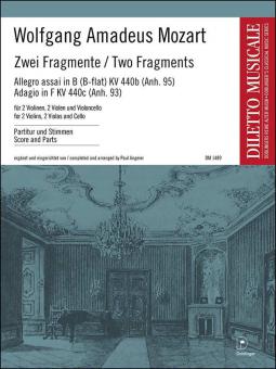 Zwei Fragmente 