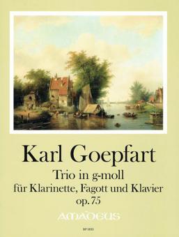 Trio in g minor op. 75 