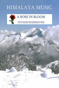 A Rose In Bloom 