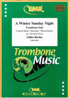 A Winter Sunday Night Download