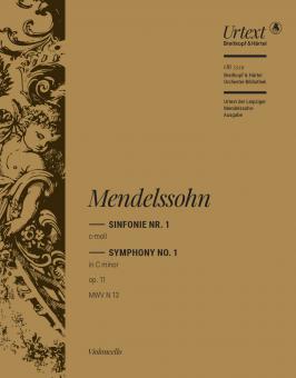 Sinfonie Nr. 1 c-moll op. 11 