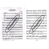 An die Musik 