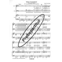 Kleiner Trommelmann 