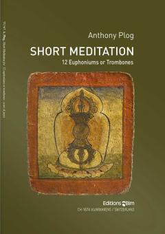 Short Meditation Standard